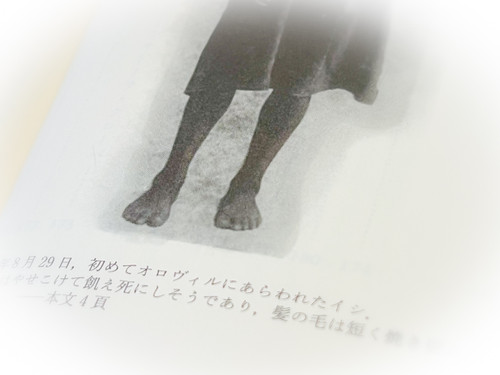9832e6d900c94f9ca88f46bfa392eb44